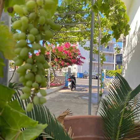 Lejlighed Rhodes Town Garden *