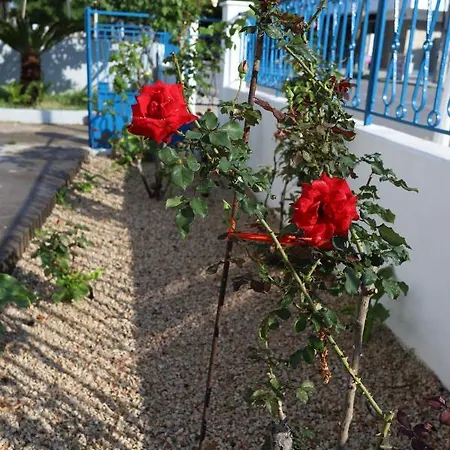 Rhodes Town Garden
